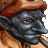 avatar de uciukpq